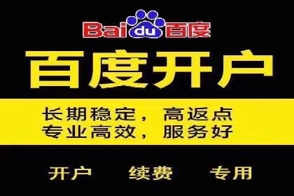 百度竞价包年，助力企业快速占领市场——成功案例解读